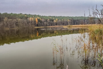 jezioro Lubicz Mały